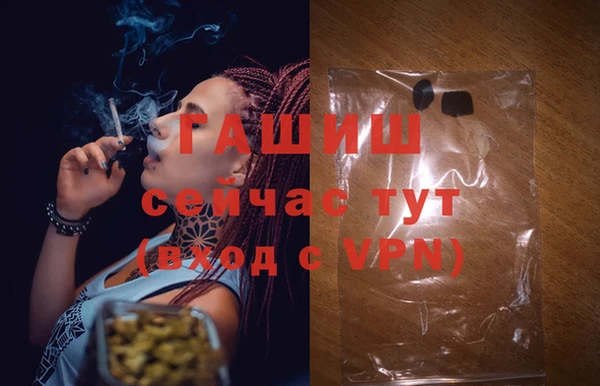 эйфоретик Белокуриха