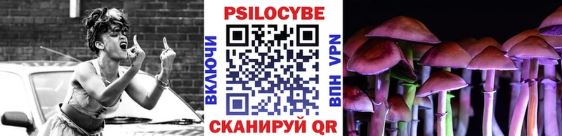 где продают   Калязин  мориарти телеграм  Псилоцибиновые грибы Magic Shrooms 